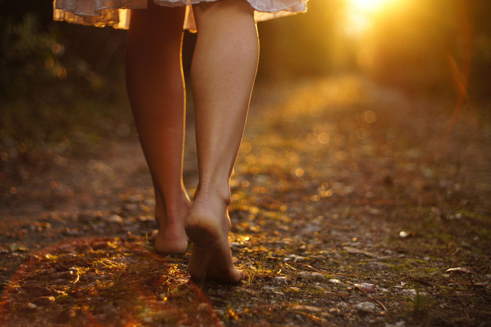 The Long Road Home—Brokenness In The Journey of LIfe