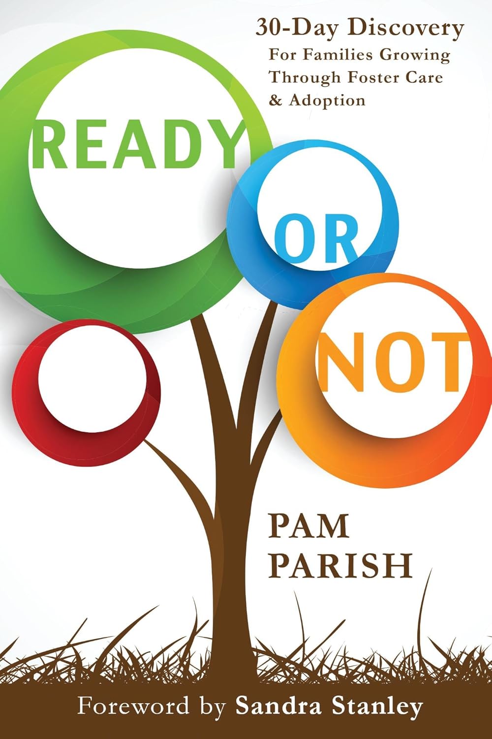 Ready or Not book cover